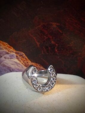Wild Stallion ~ Stainless Steel Ring ~ Quartz Crystals